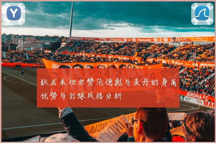 狄龙米切尔赞范德彪与麦丹的身高优势与打球风格分析